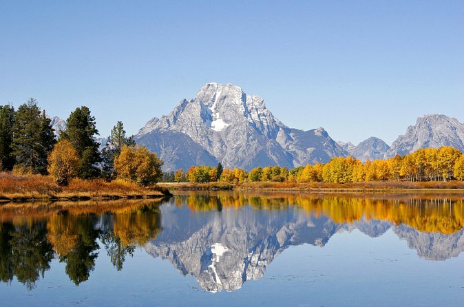 Grand Teton Wildlife Safari Tour - Wildlife Sightings and the Role of the Guide