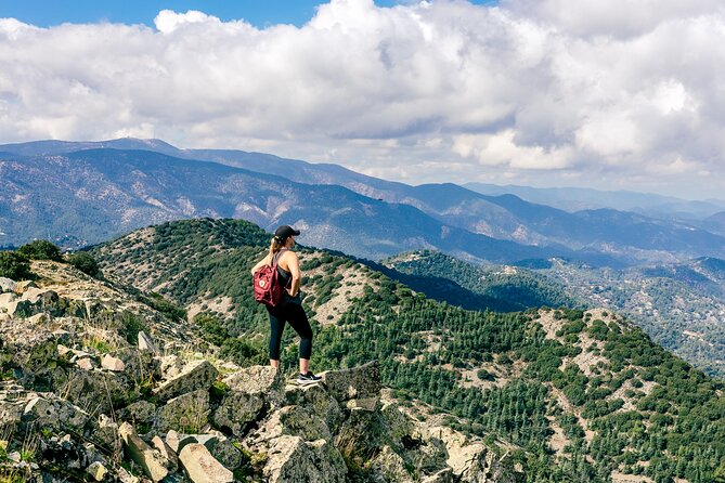 Grand Tour Full Day Jeep Safari from Larnaka Bay - Wine Tasting at Lambouri Winery