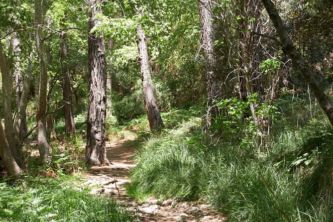 Grand Tour Full Day Jeep Safari from Larnaka Bay - Traditional Village Walks and Architectural Highlights