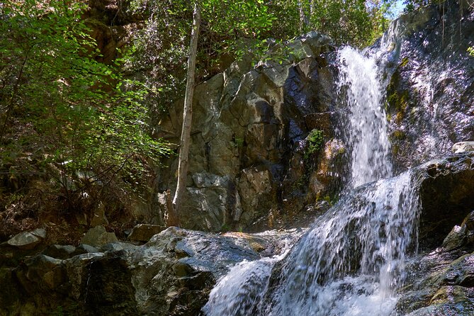 Grand Tour Full Day Jeep Safari from Larnaka Bay - Physical Requirements and Comfort Considerations