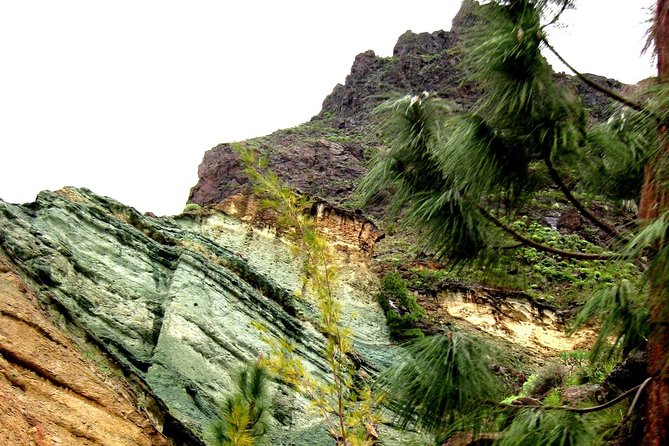 Grand Tour in Gran Canaria - The Optional Lunch in Agaete