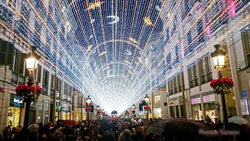 Grand Tour: Málaga's Best Sights and Surronds - Discover Malaga and Surrounding Towns with a Personalized Private Tour