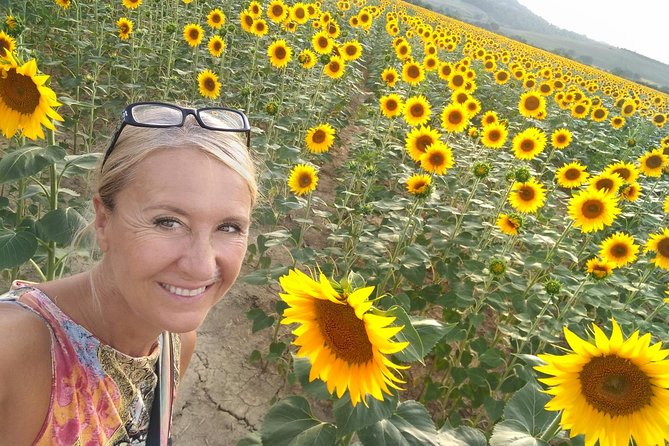 Grand Tour of Pienza, Montalcino, Montepulciano + wine and cheese tasting - Wine and Cheese Tasting Experience in Tuscany