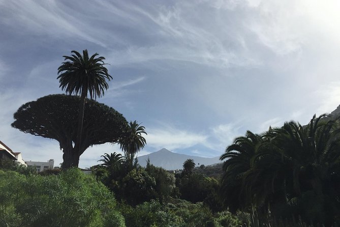 Grand Tour Tenerife - Full-Day Private VIP Tour - An Exclusive Way to See Tenerife in Comfort