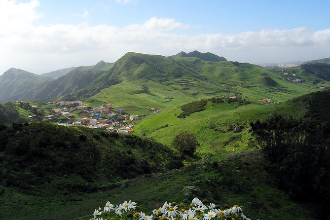 Grand Tour Tenerife - Full-Day Private VIP Tour - Rest and Recharge at Buenavista del Norte