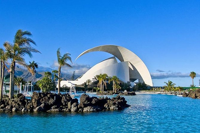 Grand Tour Tenerife - Full-Day Private VIP Tour - Witnessing the Ancient Dragon Tree at El Drago Milenario