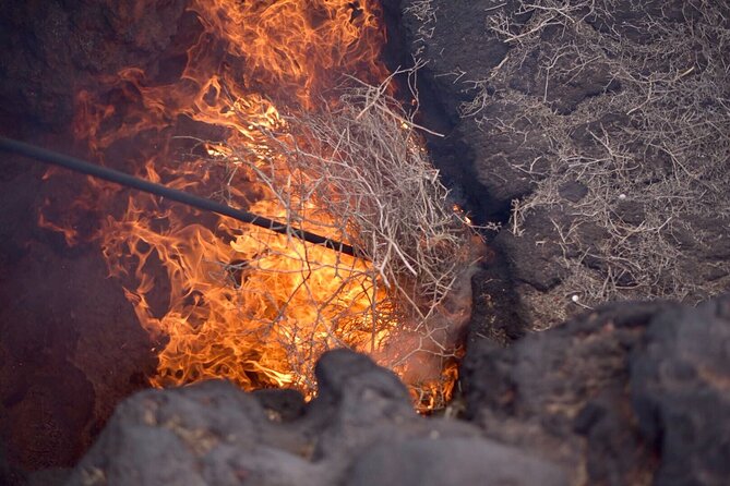 Grand Tour to Timanfaya and Jameos del Agua for cruise passengers - Casa Museo del Campesino: Celebrating Lanzarote’s Farming Heritage