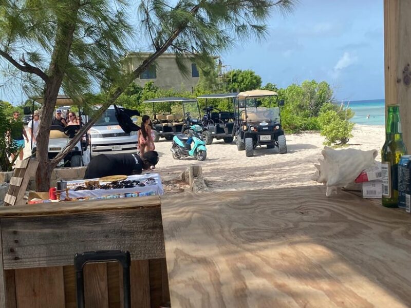 Grand Turk: Horseback riding Experience/Cockburn Town - The Provider and Overall Ratings