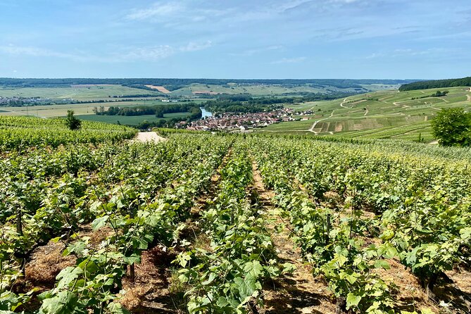 GRAND VINTAGE Moet et Chandon Veuve Clicquot Cellars & Tastings - Savoring Lunch in Épernay: The Champagne Capital