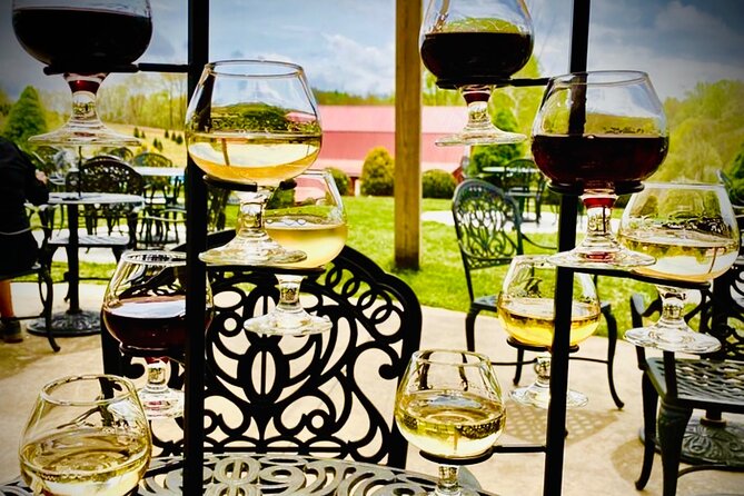 Grandfather Mountain Private Wine & Dine Tour from Asheville - Included Amenities and Personal Comfort