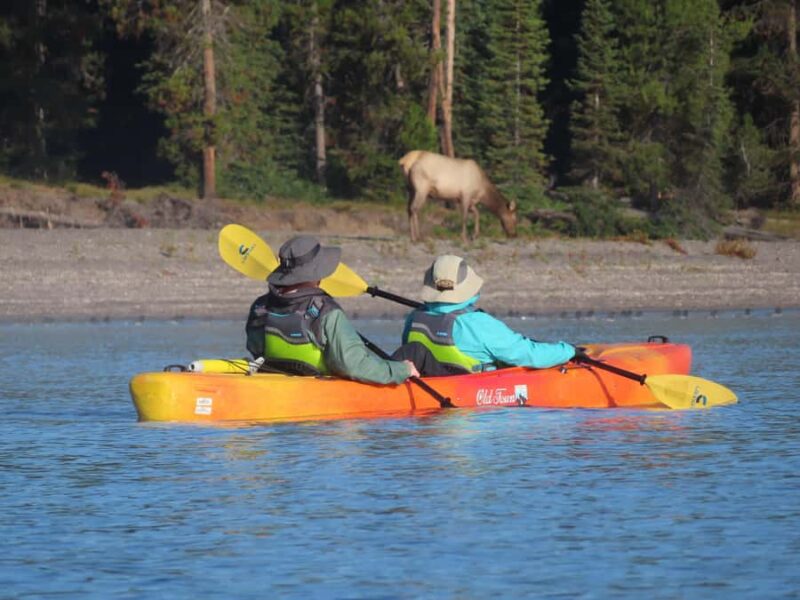 Grant Village: Yellowstone Lake Guided Kayak Tour with Lunch - Comparing This Tour to Other Yellowstone Experiences