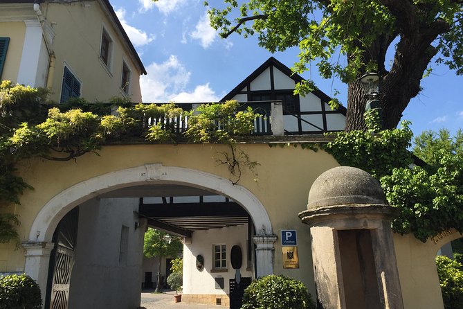 Grape Day out Pfalz to taste cracking Red wines & Riesling - Discover the Pfalz Region: Germanys Tuscany of Wine