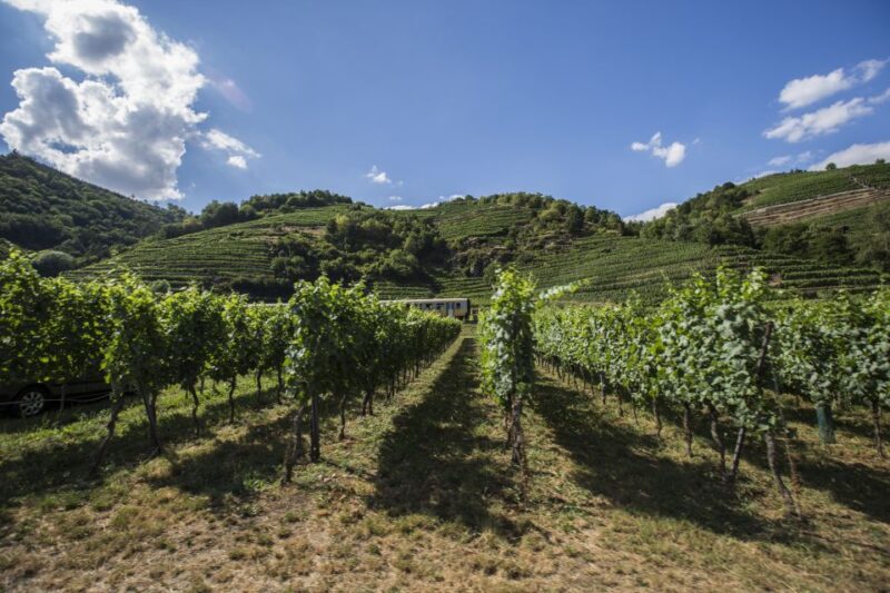 Grape Grazing: Wachau Valley Winery Biking Tour - Exploring the Town of Krems an der Donau