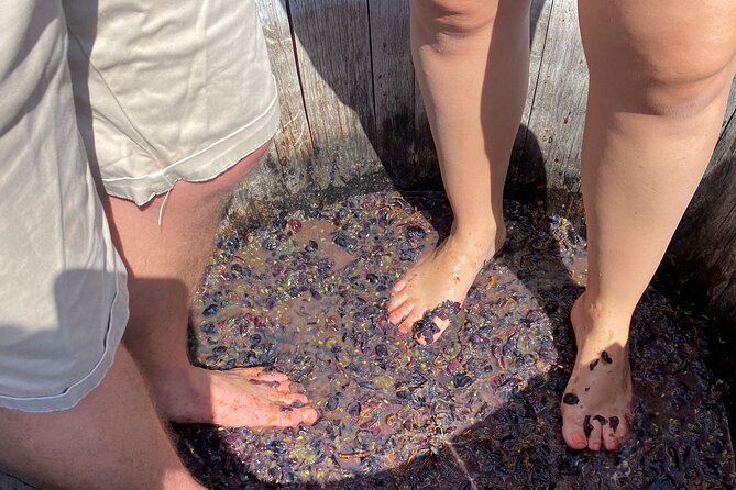 Grape Stomping Experience and Wine Tasting - Key Points