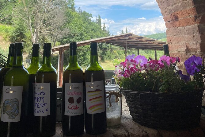 Grape Stomping Experience and Wine Tasting - Guided Cellar Tour and Wine Tasting at CANTINE GUIDI 1929