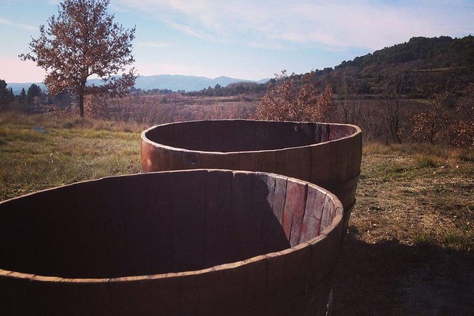 Grape Stomping in Provence - Key Points