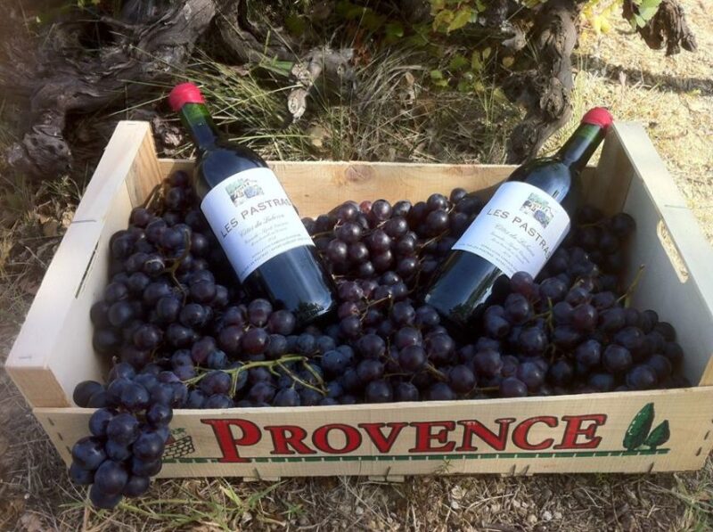 Grape Stomping in Provence - Final Thoughts on Grape Stomping in Provence