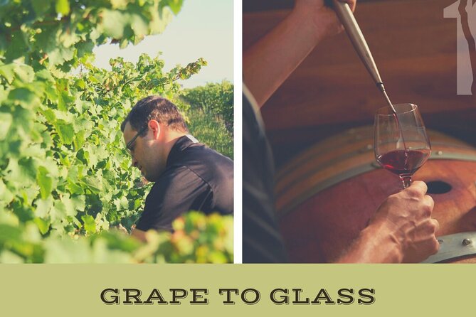 Grape to Glass Wine Experience - A Unique Wine Journey in Niagara-on-the-Lake