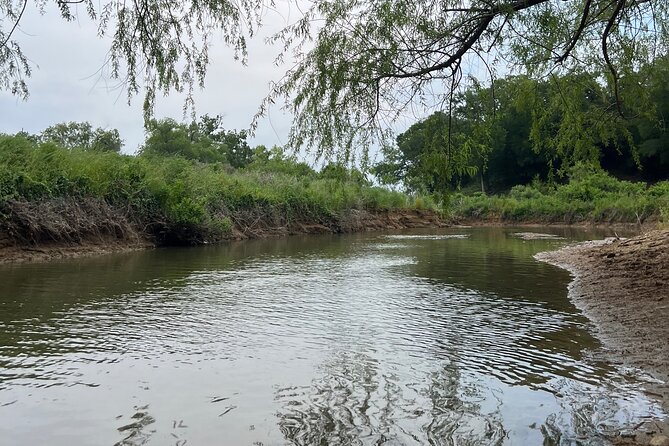 Grapevine Lake Kayak Eco Tour - Planning Your Visit: Timing and Group Size