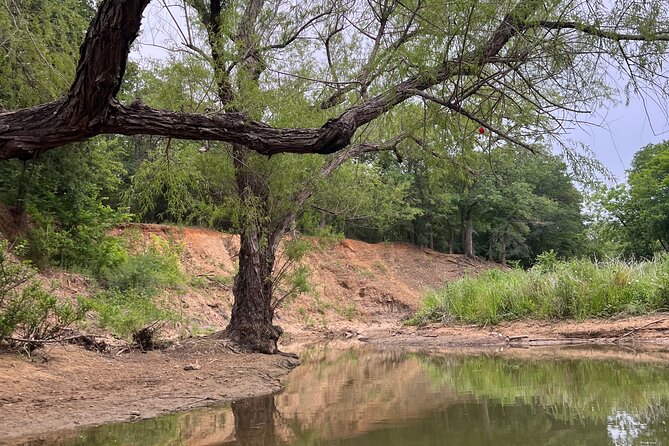 Grapevine Lake Kayak Eco Tour - Why Choose This Eco Tour Over Others?