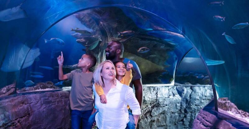 Grapevine: SEA LIFE Grapevine Aquarium General Admission - Explore an Underwater World at SEA LIFE Grapevine Aquarium