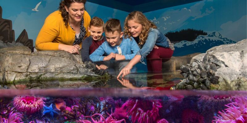Grapevine: SEA LIFE Grapevine Aquarium General Admission - Additional Options and Pricing Details