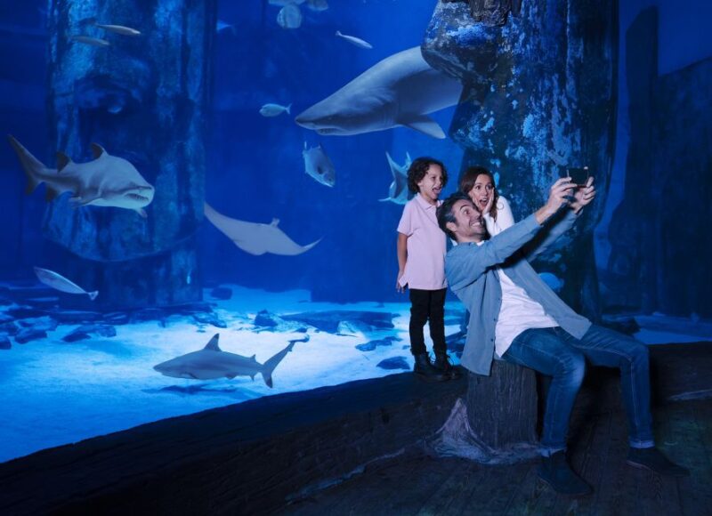 Grapevine: SEA LIFE Grapevine Aquarium General Admission - Who Will Enjoy This Tour?