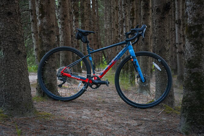 Gravel bike rental at the Lachine Canal - Value for Money and Overall Suitability