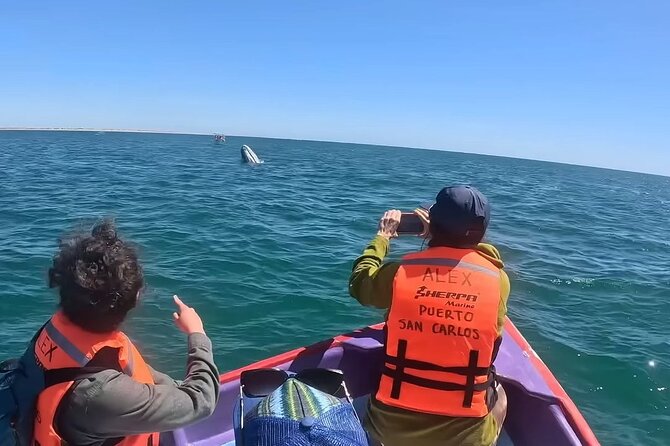 Gray Whale Tour Private Group from La Paz Limited to 8 - Key Points