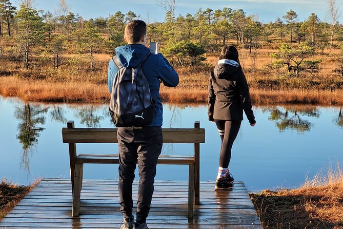 Great emeri Bog and Swamp Forest Hiking Adventure - Discover Latvia’s Largest Raised Bog at Kemeri National Park