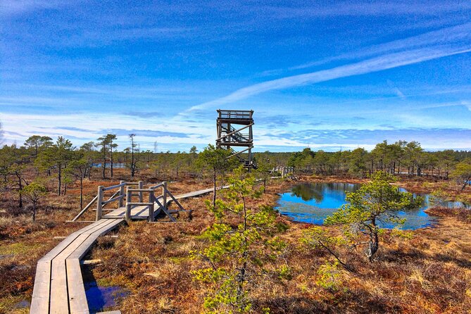 Great emeri Bog and Swamp Forest Hiking Adventure - Seasonal Variations and Best Times to Visit