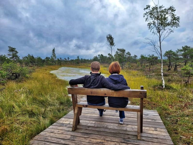 Great emeri Bog & Swamp Forest Hiking Adventure - Explore Latvia’s Unique Raised Bog Ecosystem with Guided Hiking