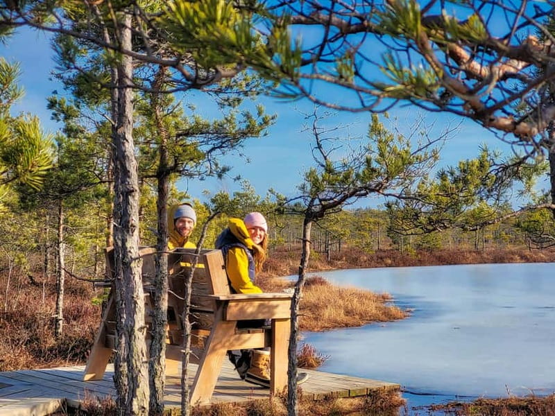 Great emeri Bog & Swamp Forest Hiking Adventure - Key Points