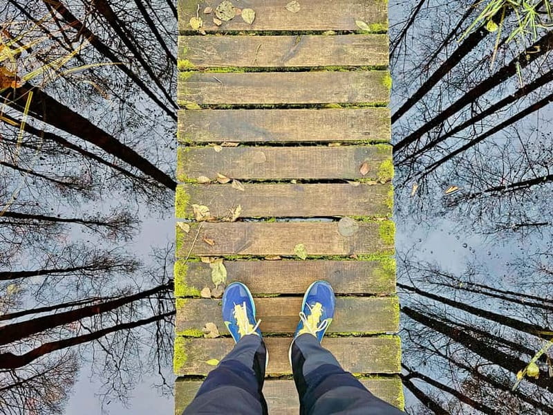 Great emeri Bog & Swamp Forest Hiking Adventure - Value and Booking Flexibility