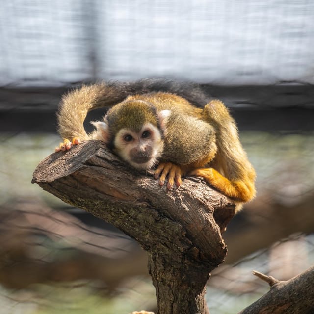 Great Plains Zoo - Family Activities and Interactive Elements