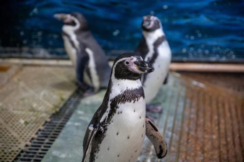 Great Plains Zoo - The Value of a Day at Great Plains Zoo