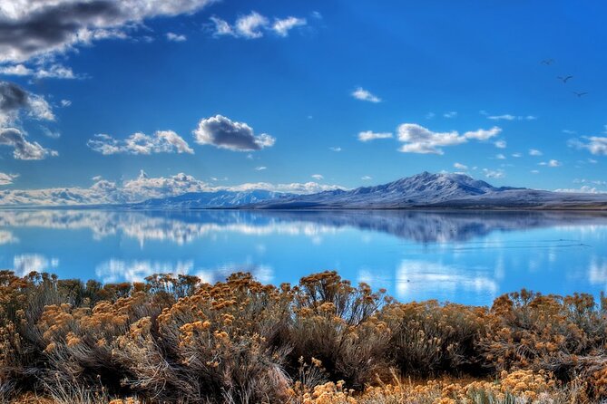 Great Salt Lake and Antelope Island Day Tour - Exploring the Unique Landscape of Great Salt Lake State Park