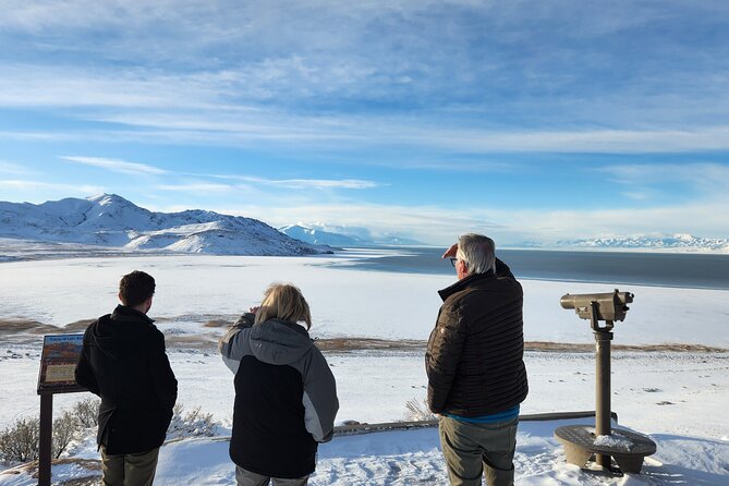 Great Salt Lake and Antelope Island Day Tour - Comfortable Transport and Careful Logistics