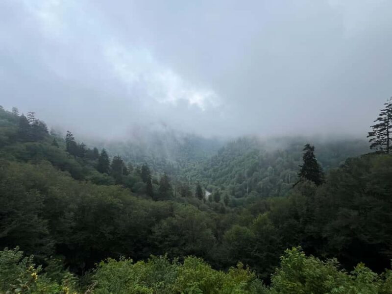 Great Smoky Mountains: Guided Hike & Outdoor Painting Class - Discover the Great Smoky Mountains with Guided Hike & Painting