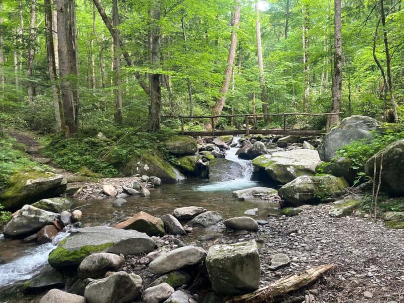 Great Smoky Mountains: Guided Hike & Outdoor Painting Class - Key Points
