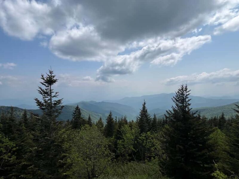 Great Smoky Mountains: Guided Hike & Outdoor Painting Class - Seasonal Highlights and Special Encounters