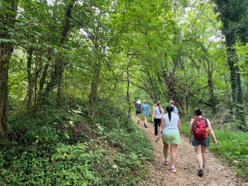 Great Smoky Mountains: Guided Hike & Outdoor Painting Class - Final Thoughts on the Great Smoky Mountains Art & Hike Experience