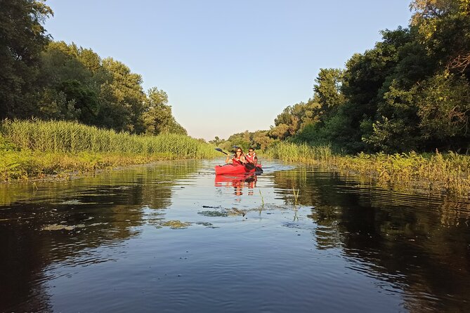 Great War Island Kayak Adventure - Learning the Basics Before Hitting the Water