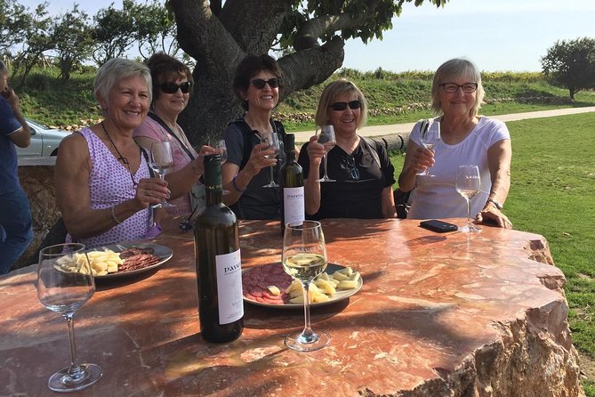 Great Wine Tour in Small Carpathian Hills - Who Will Enjoy This Tour Most