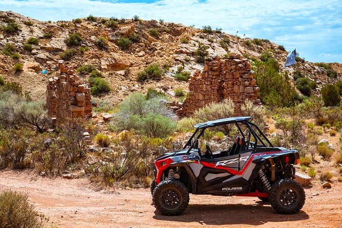 Greater Zion: Dinosaur Tracks in the Desert UTV Tour - Key Points