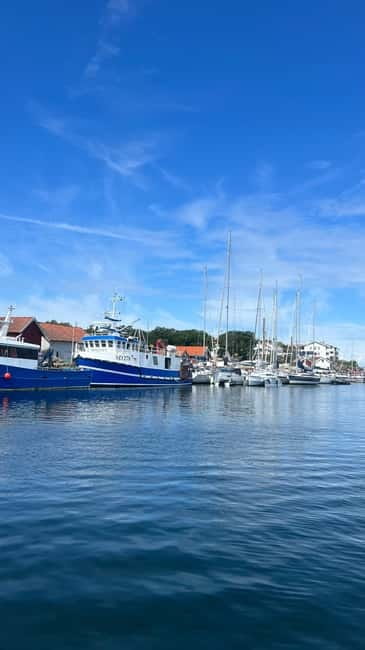 Grebbestad: boat tour private & individual - Who Will Appreciate This Private Boat Tour?