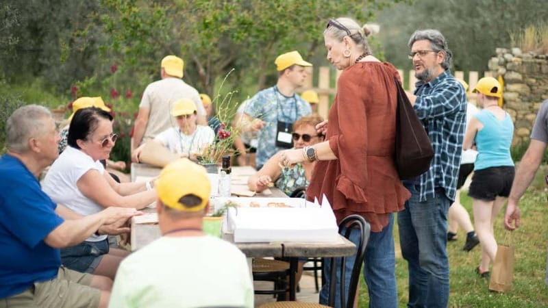 Greece in a Drop: Olive Grove Walk and Olive Oil Tasting - The Scenic Walk Through Centuries-Old Olive Trees