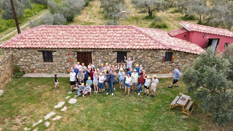 Greece in a Drop: Olive Grove Walk and Olive Oil Tasting - Practical Details: Group Size, Accessibility, and What to Bring
