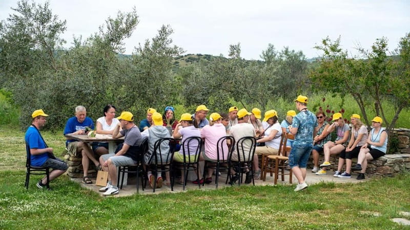 Greece in a Drop: Olive Grove Walk and Olive Oil Tasting - Flexibility with Reservations and Cancellations