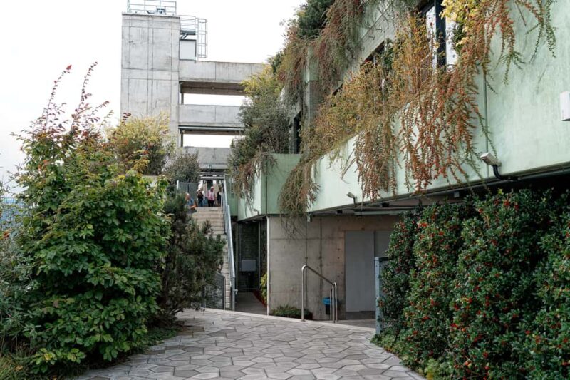 Green Bunker Tour on St. Pauli  the original - Insights from the Tour Guides